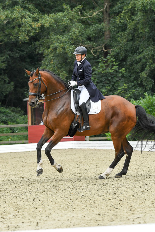 Anakenenhof    Dressur  25.08.2023 | Anakenenhof Prfg 2_059 