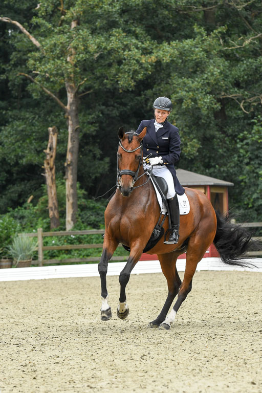 Anakenenhof    Dressur  25.08.2023 | Anakenenhof Prfg 2_060 