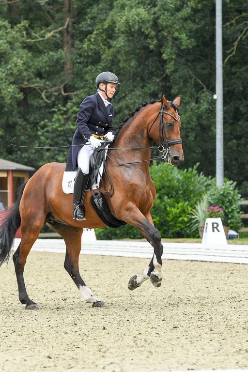 Anakenenhof    Dressur  25.08.2023 | Anakenenhof Prfg 2_062 