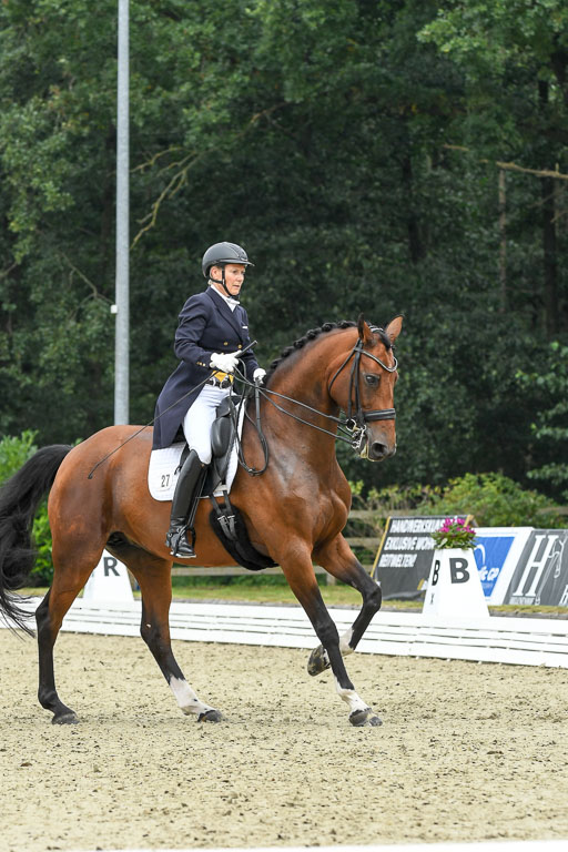 Anakenenhof    Dressur  25.08.2023 | Anakenenhof Prfg 2_063 
