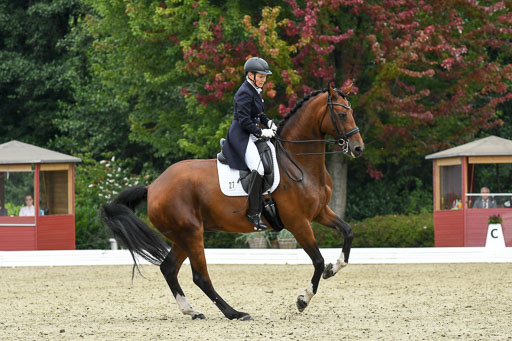Anakenenhof    Dressur  25.08.2023 | Anakenenhof Prfg 2_066 