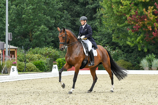 Anakenenhof    Dressur  25.08.2023 | Anakenenhof Prfg 2_070 