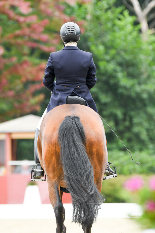 Anakenenhof    Dressur  25.08.2023 | Anakenenhof Prfg 2_073 