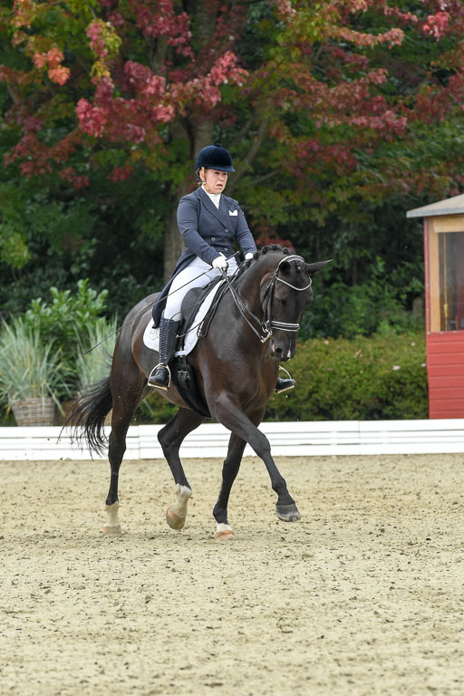 Anakenenhof    Dressur  25.08.2023 | Anakenenhof Prfg 2_083 