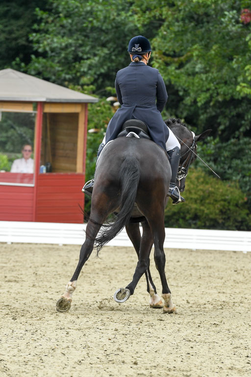 Anakenenhof    Dressur  25.08.2023 | Anakenenhof Prfg 2_085 