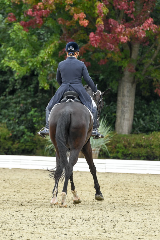 Anakenenhof    Dressur  25.08.2023 | Anakenenhof Prfg 2_086 