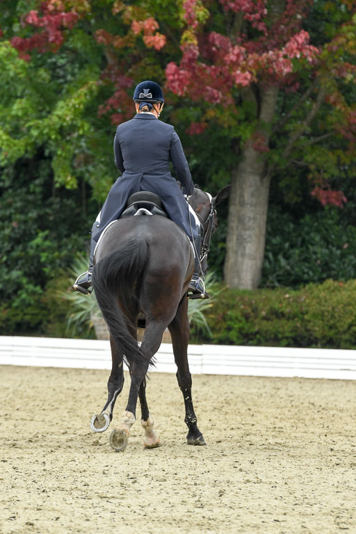 Anakenenhof    Dressur  25.08.2023 | Anakenenhof Prfg 2_087 
