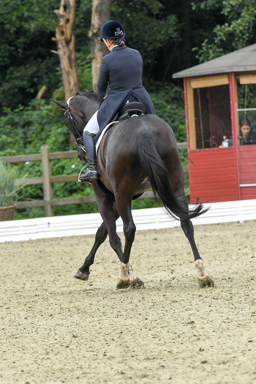 Anakenenhof    Dressur  25.08.2023 | Anakenenhof Prfg 2_088 