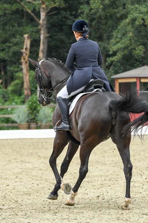 Anakenenhof    Dressur  25.08.2023 | Anakenenhof Prfg 2_091 