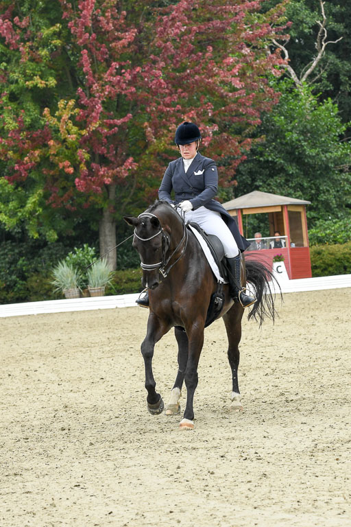 Anakenenhof    Dressur  25.08.2023 | Anakenenhof Prfg 2_092 