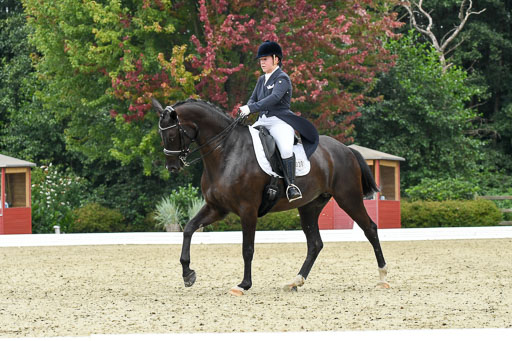 Anakenenhof    Dressur  25.08.2023 | Anakenenhof Prfg 2_097 