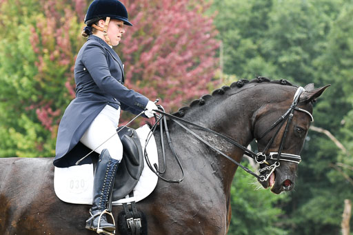 Anakenenhof    Dressur  25.08.2023 | Anakenenhof Prfg 2_098 