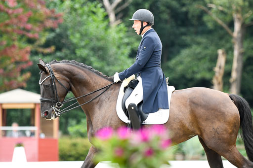 Anakenenhof    Dressur  25.08.2023 | Anakenenhof Prfg 2_115 