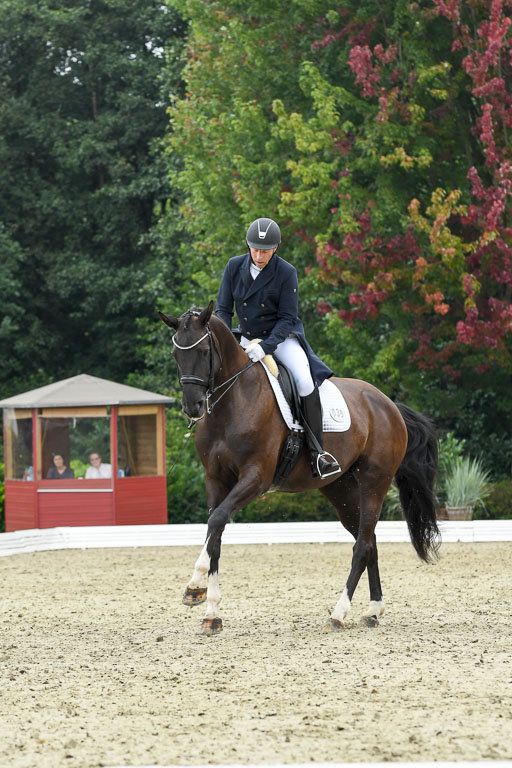Anakenenhof    Dressur  25.08.2023 | Anakenenhof Prfg 2_120 