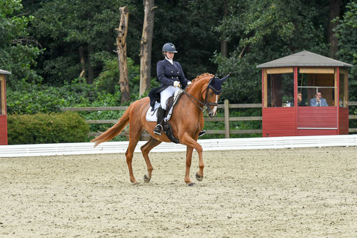 Anakenenhof    Dressur  25.08.2023 | Anakenenhof Prfg 2_130 