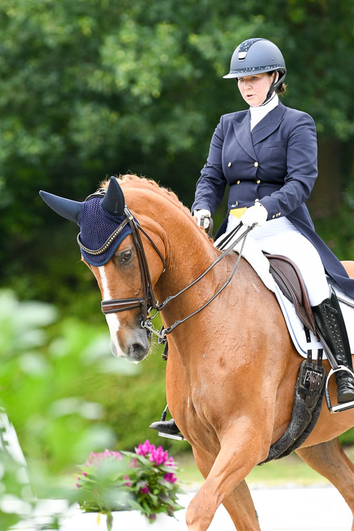 Anakenenhof    Dressur  25.08.2023 | Anakenenhof Prfg 2_135 