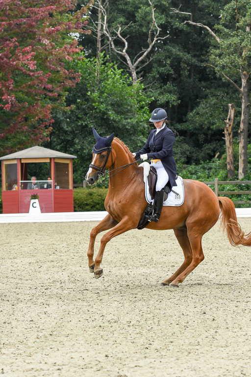Anakenenhof    Dressur  25.08.2023 | Anakenenhof Prfg 2_145 
