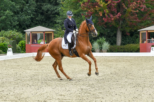 Anakenenhof    Dressur  25.08.2023 | Anakenenhof Prfg 2_149 