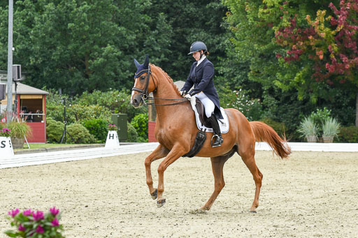 Anakenenhof    Dressur  25.08.2023 | Anakenenhof Prfg 2_151 
