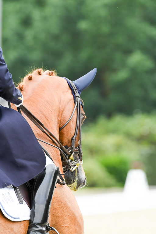 Anakenenhof    Dressur  25.08.2023 | Anakenenhof Prfg 2_155 