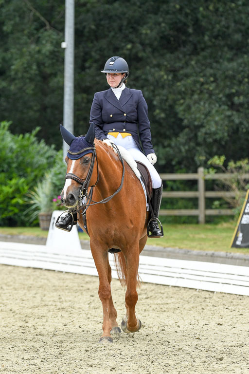 Anakenenhof    Dressur  25.08.2023 | Anakenenhof Prfg 2_156 