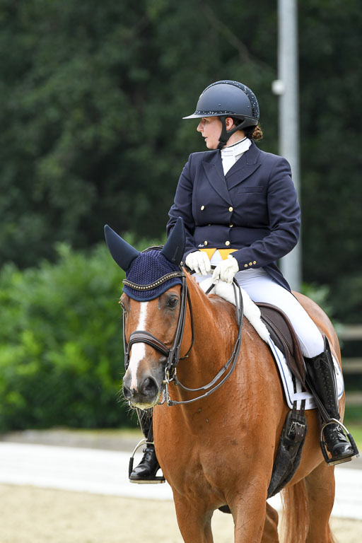 Anakenenhof    Dressur  25.08.2023 | Anakenenhof Prfg 2_157 