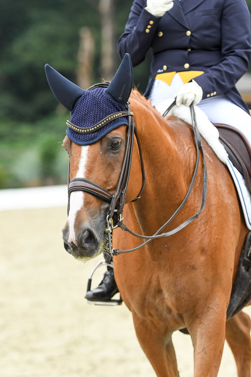 Anakenenhof    Dressur  25.08.2023 | Anakenenhof Prfg 2_158 