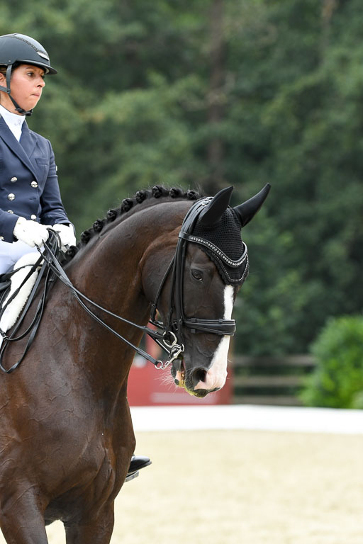 Anakenenhof    Dressur  25.08.2023 | Anakenenhof Prfg 2_164 