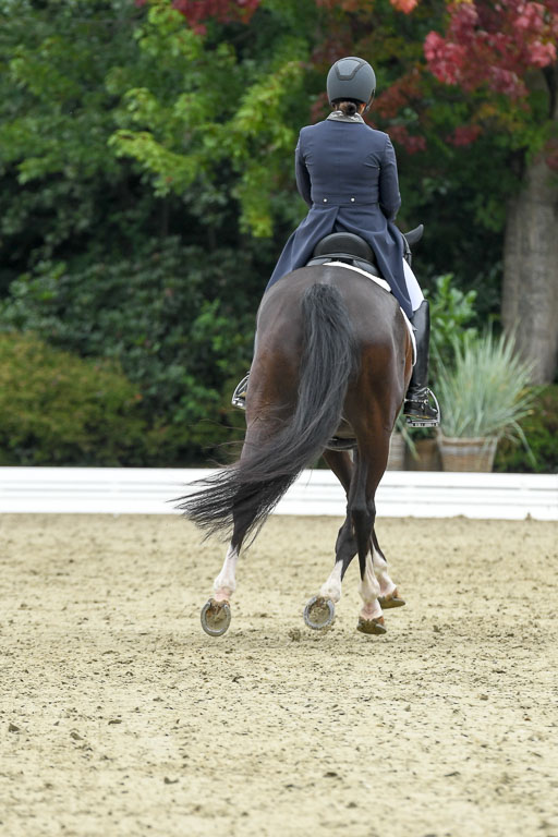 Anakenenhof    Dressur  25.08.2023 | Anakenenhof Prfg 2_174 