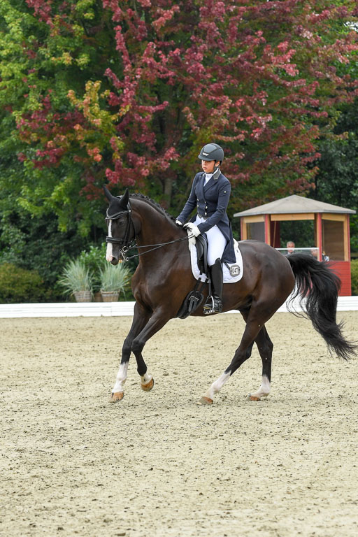 Anakenenhof    Dressur  25.08.2023 | Anakenenhof Prfg 2_177 