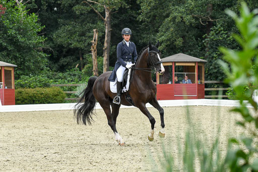 Anakenenhof    Dressur  25.08.2023 | Anakenenhof Prfg 2_180 