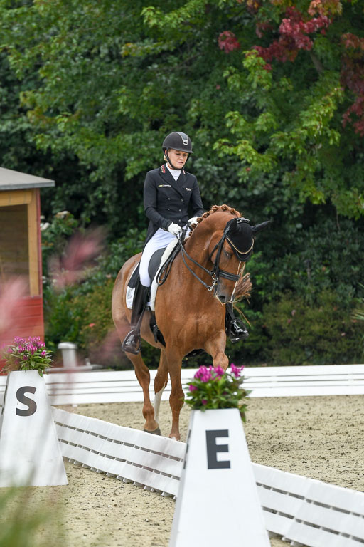 Anakenenhof    Dressur  25.08.2023 | Anakenenhof Prfg 2_186 