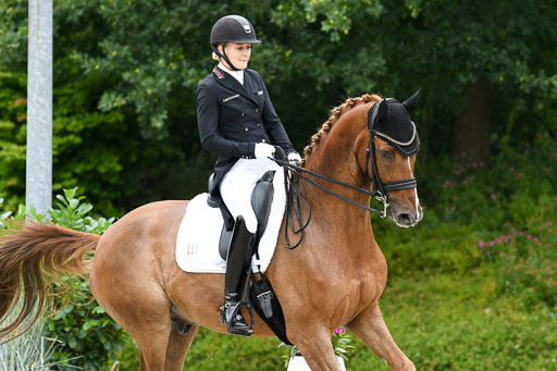 Anakenenhof    Dressur  25.08.2023 | Anakenenhof Prfg 2_192 