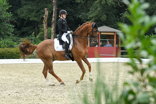 Anakenenhof    Dressur  25.08.2023 | Anakenenhof Prfg 2_219 