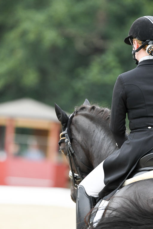 Anakenenhof    Dressur  25.08.2023 | Anakenenhof Prfg 2_239 