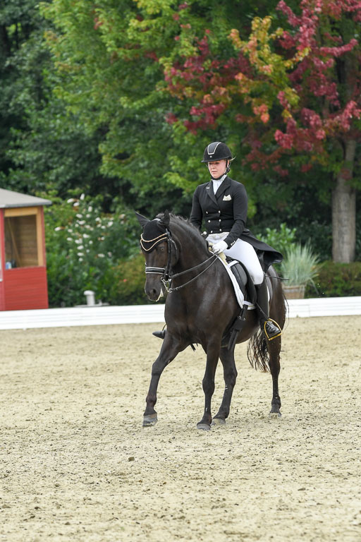 Anakenenhof    Dressur  25.08.2023 | Anakenenhof Prfg 2_242 