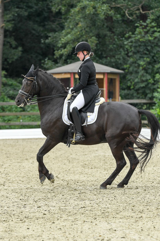 Anakenenhof    Dressur  25.08.2023 | Anakenenhof Prfg 2_243 