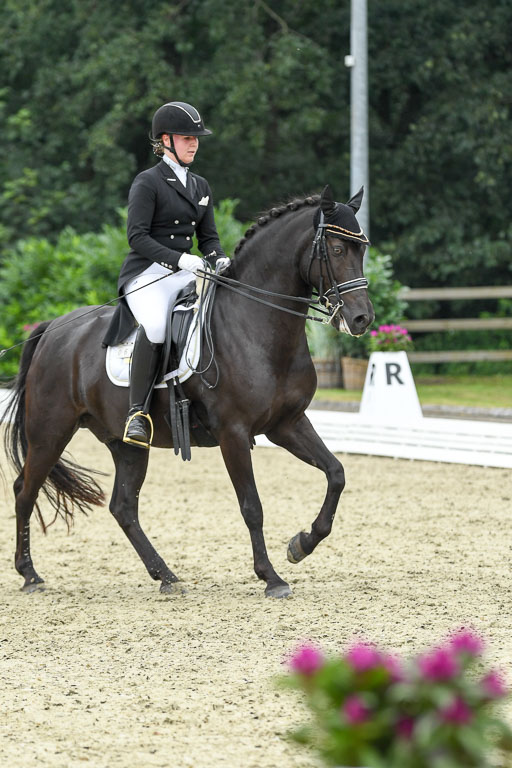 Anakenenhof    Dressur  25.08.2023 | Anakenenhof Prfg 2_246 