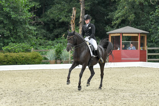 Anakenenhof    Dressur  25.08.2023 | Anakenenhof Prfg 2_251 