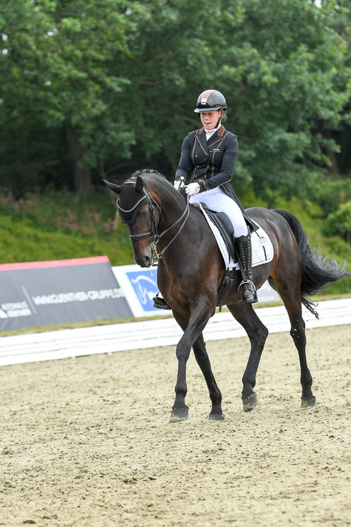 Anakenenhof    Dressur  25.08.2023 | Anakenenhof Prfg 2_265 