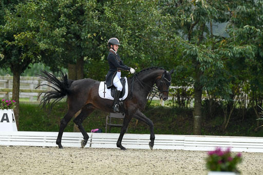Anakenenhof    Dressur  25.08.2023 | Anakenenhof Prfg 2_266 