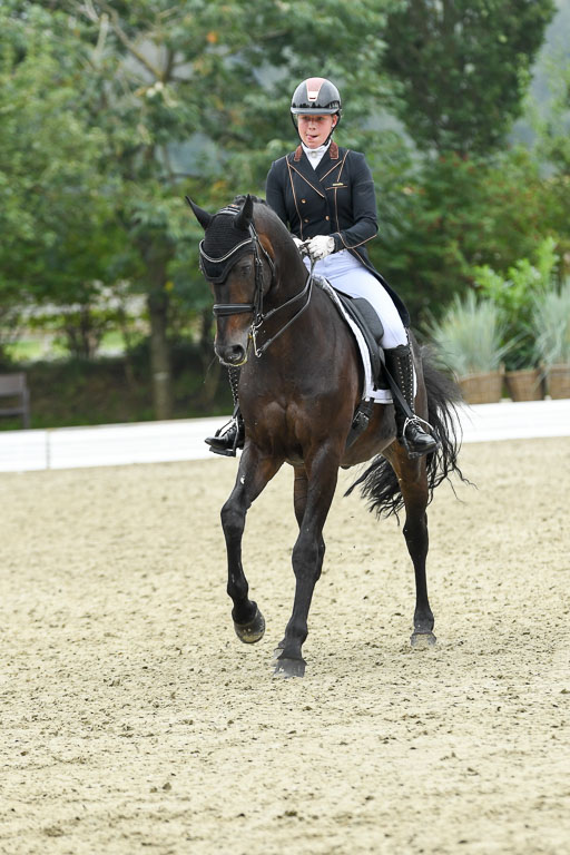 Anakenenhof    Dressur  25.08.2023 | Anakenenhof Prfg 2_273 