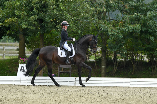 Anakenenhof    Dressur  25.08.2023 | Anakenenhof Prfg 2_275 