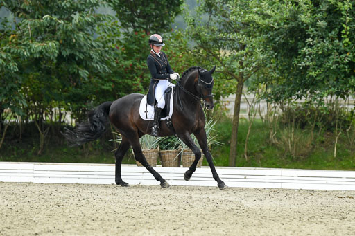 Anakenenhof    Dressur  25.08.2023 | Anakenenhof Prfg 2_277 