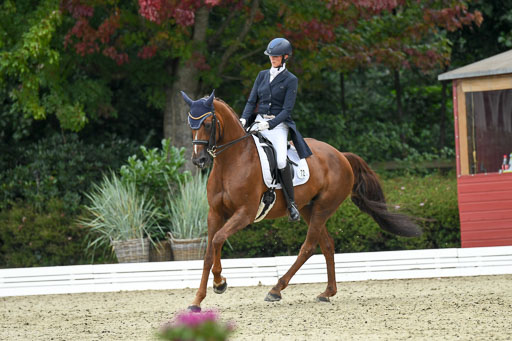 Anakenenhof    Dressur  25.08.2023 | Anakenenhof Prfg 2_287 