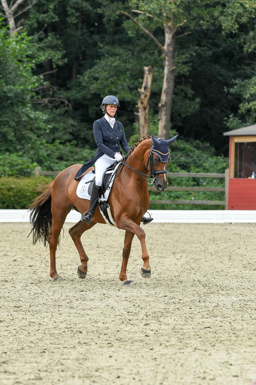 Anakenenhof    Dressur  25.08.2023 | Anakenenhof Prfg 2_293 