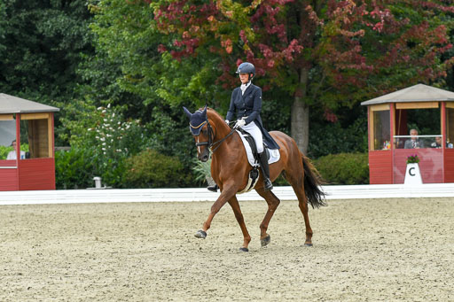 Anakenenhof    Dressur  25.08.2023 | Anakenenhof Prfg 2_297 