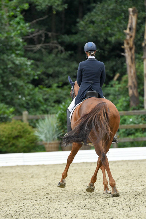 Anakenenhof    Dressur  25.08.2023 | Anakenenhof Prfg 2_298 