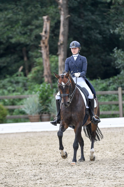 Anakenenhof    Dressur  25.08.2023 | Anakenenhof Prfg 2_320 