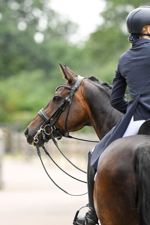 Anakenenhof    Dressur  25.08.2023 | Anakenenhof Prfg 2_331 